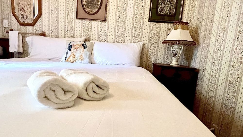 Traditional Single Room, 1 King Bed