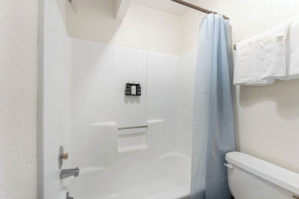 SoCal Vacations - Village Inn Grizzly Bear 10