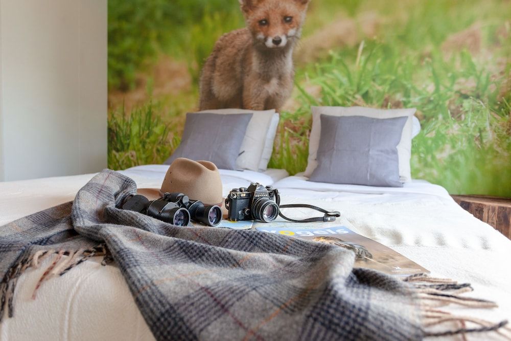 Hajé Waterlodge en hotel ark de Aalscholver Room, River View, Annex Building 9