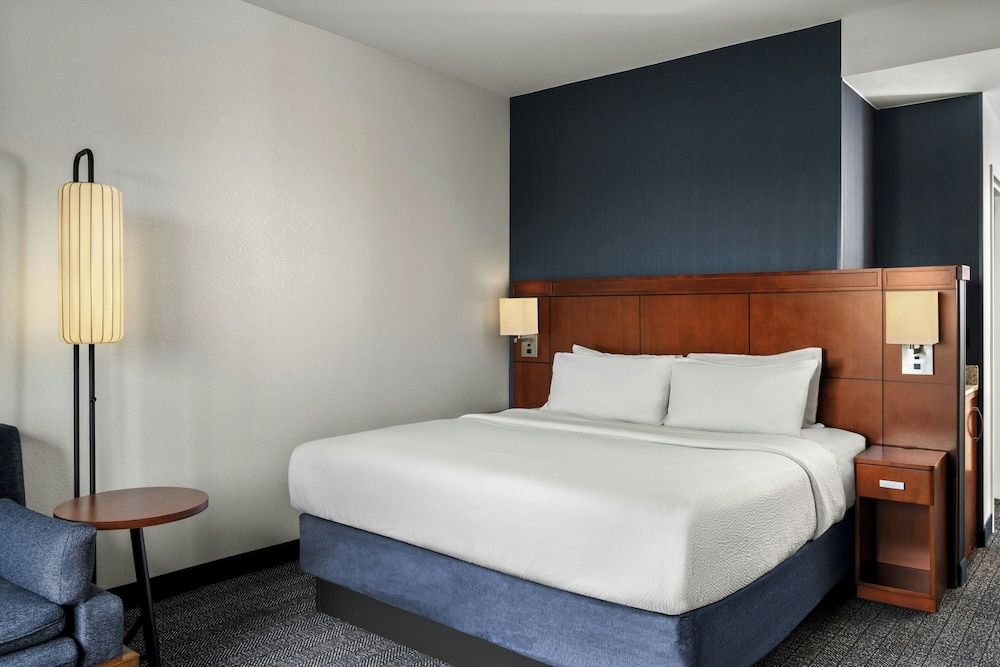 Room, 1 King Bed with Sofa bed