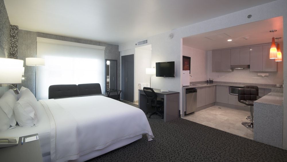 Studio Suite, 1 King Bed with Sofa bed