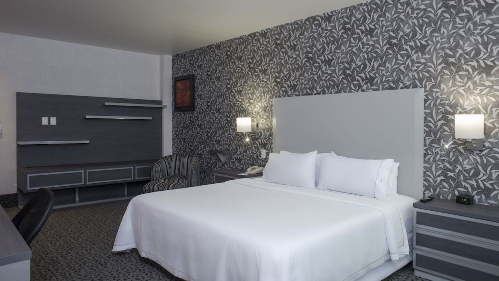 Studio Suite, 1 King Bed with Sofa bed