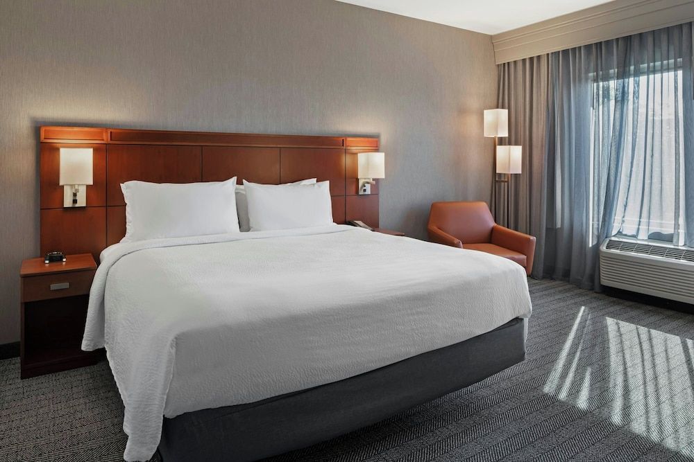Room, 1 King Bed with Sofa bed