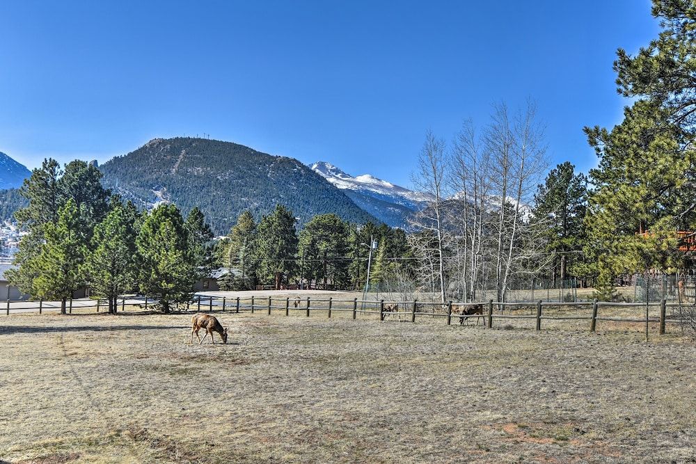 undefined Spacious Colorado Retreat w/ Deck & Mountain Views 5