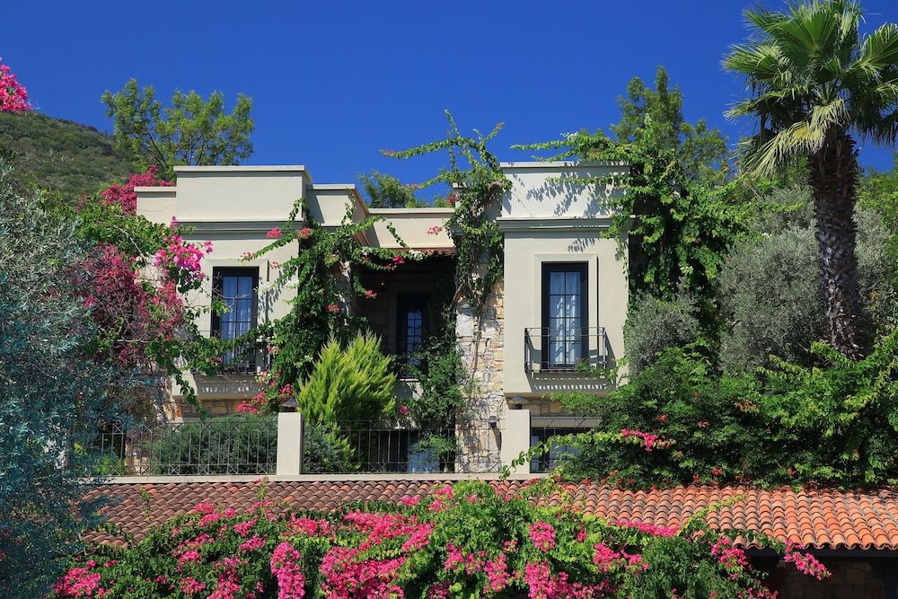 undefined Hotel Zeytinada 2