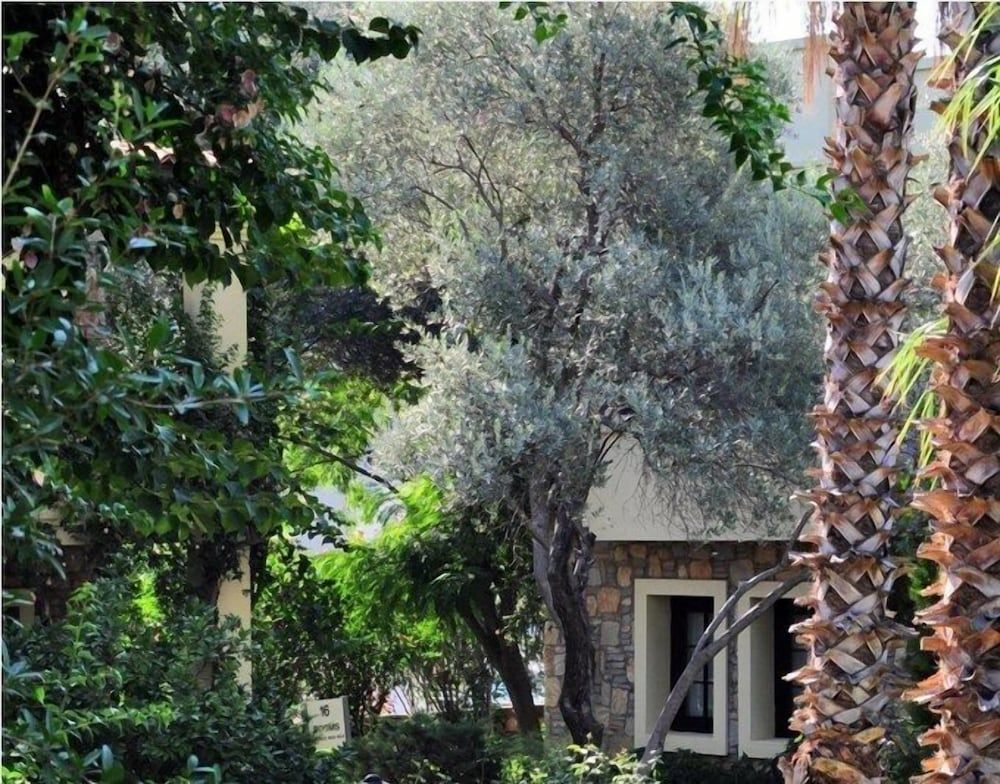 undefined Hotel Zeytinada 5