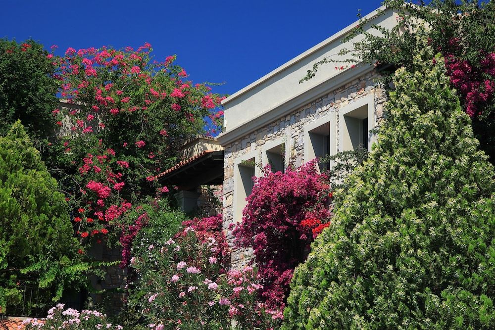 undefined Hotel Zeytinada 4