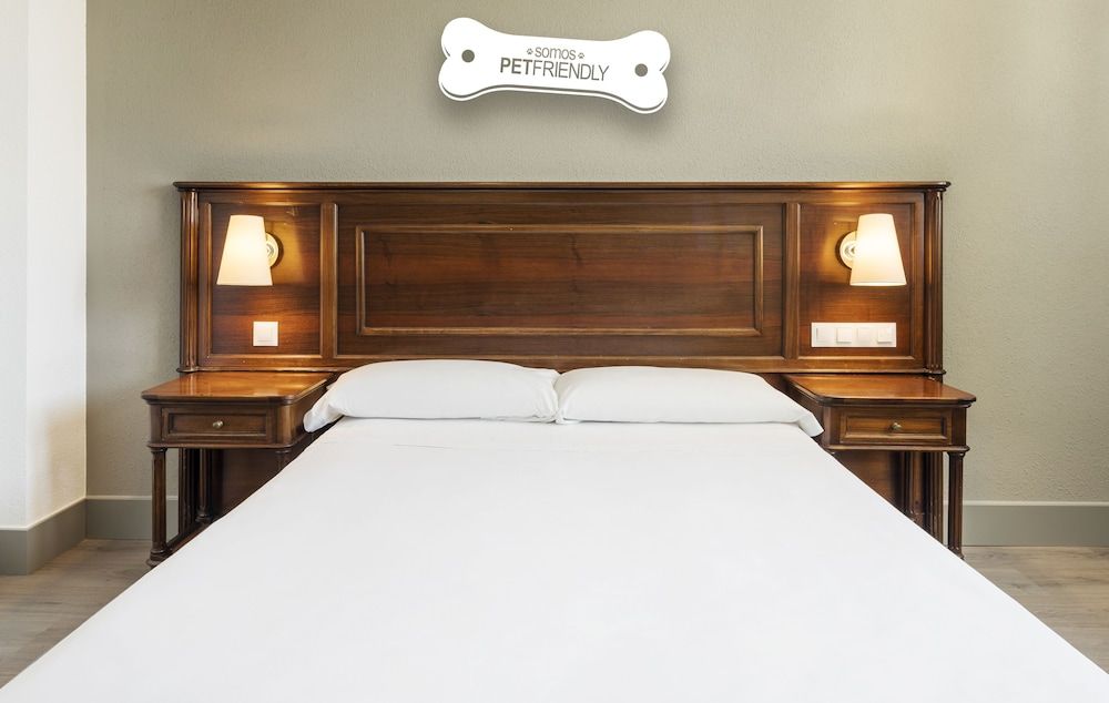 Hotel ILUNION Las Lomas Double Room (Pet Friendly)