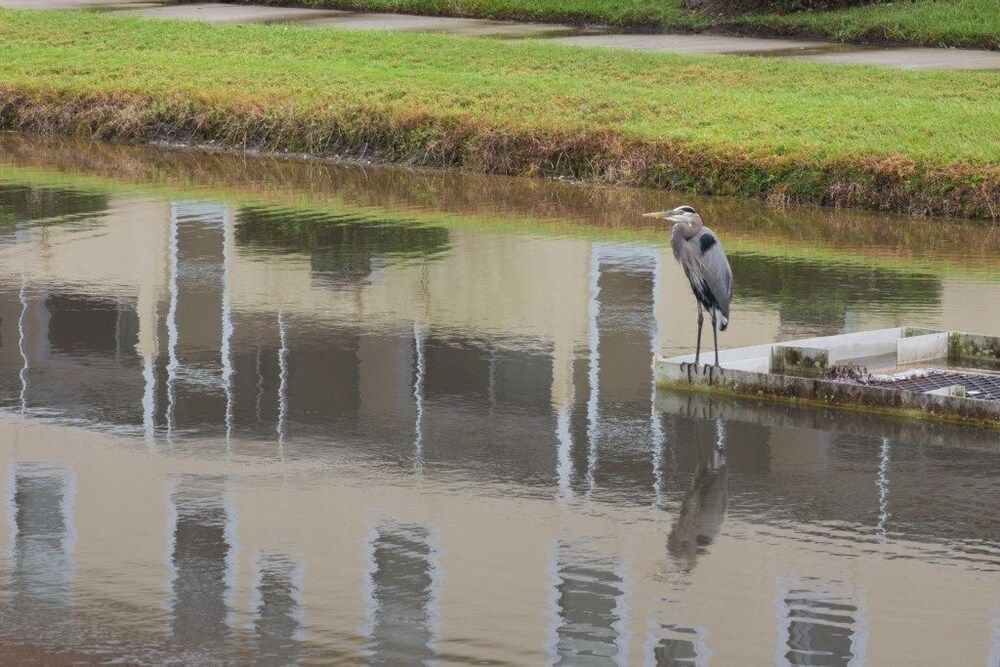 undefined Ip60392 - Fiesta Key - 3 Bed 3 Baths Townhome