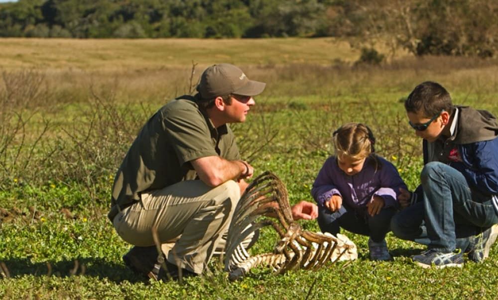 Children's Play Area