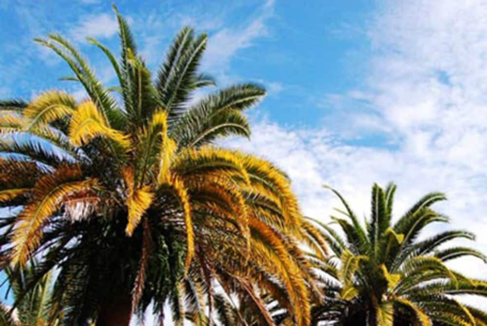 Disney Area Luxury Condo House 13