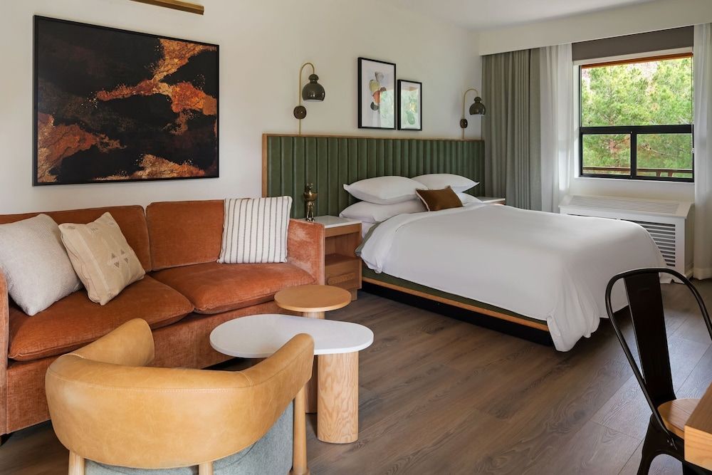 Standard Room, 1 King Bed with Sofa bed (Mobility/Hearing Access, Roll-In Shwr)