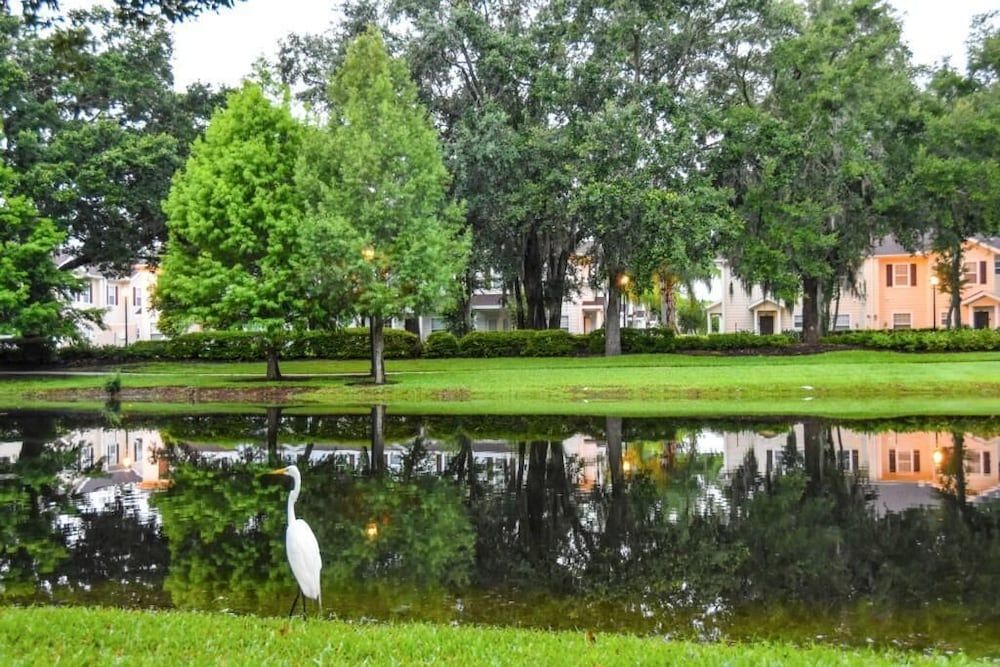 undefined Lucaya Village Resort - 3 Beds and 2 Baths. ID: 57417 5