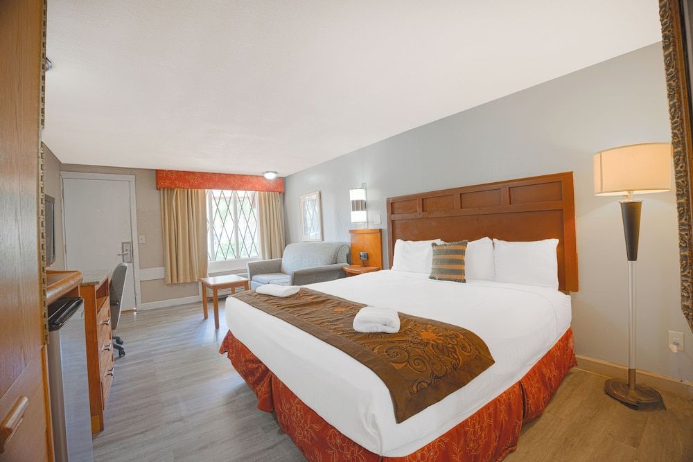 Liberty Inn and Suites – Kissimmee/Near Disney Standard Room, 1 King Bed, Non Smoking 3