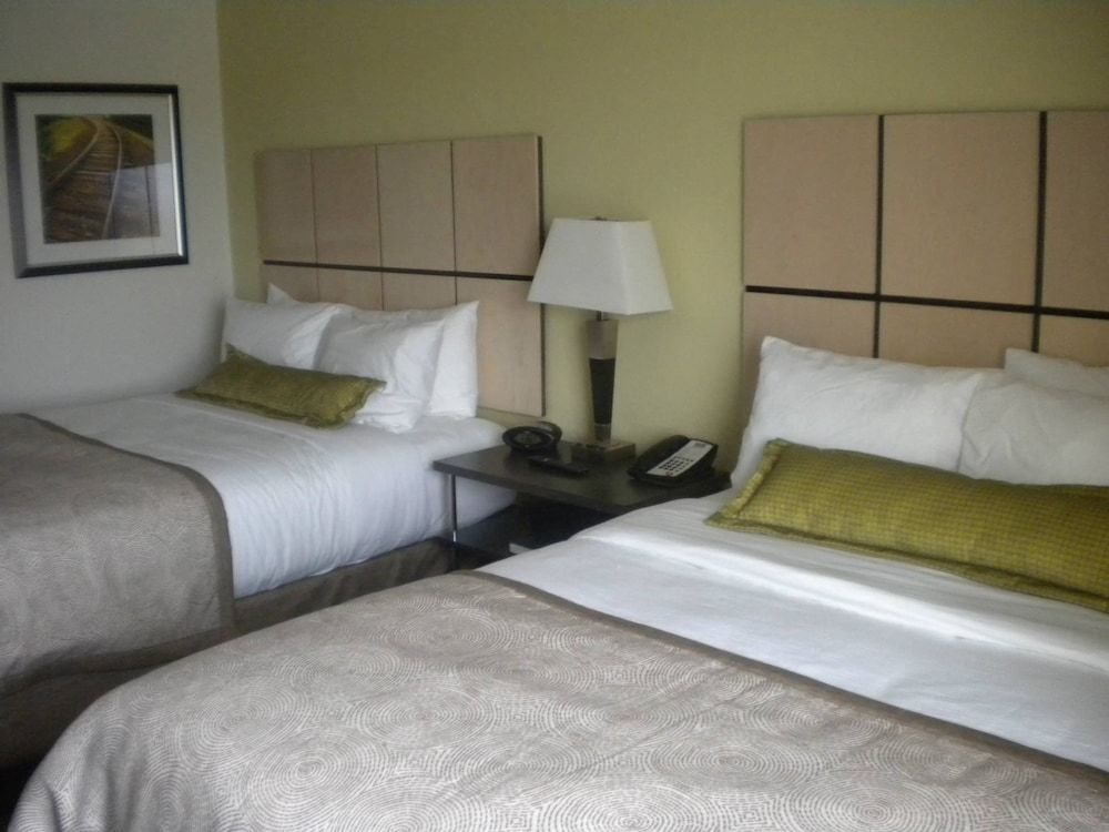 Studio Suite, 2 Queen Beds, Accessible (Communication Accessible)