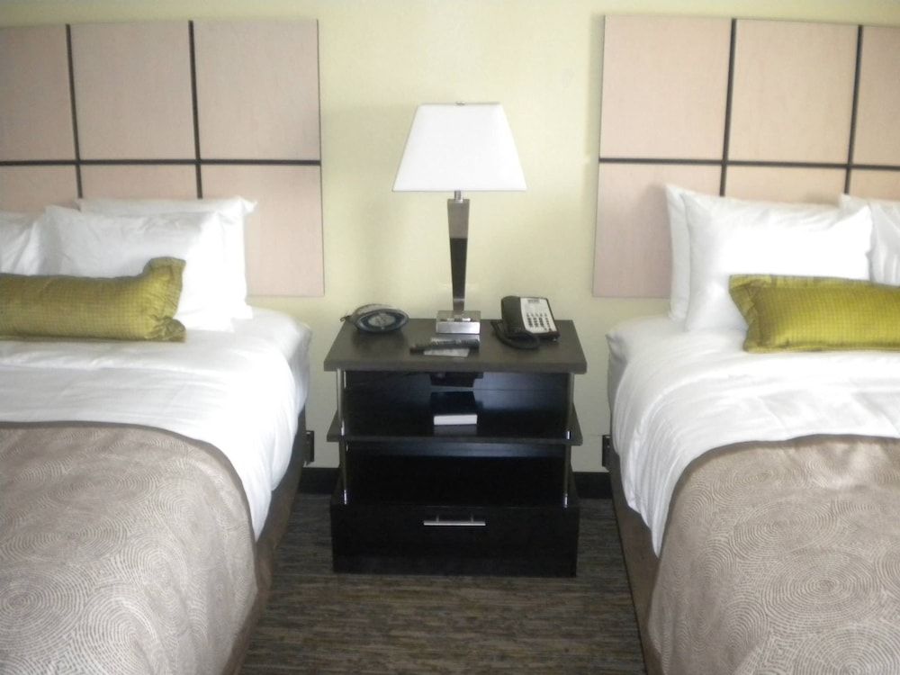 Studio Suite, 2 Queen Beds