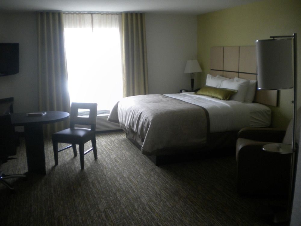 Studio Suite, 1 King Bed
