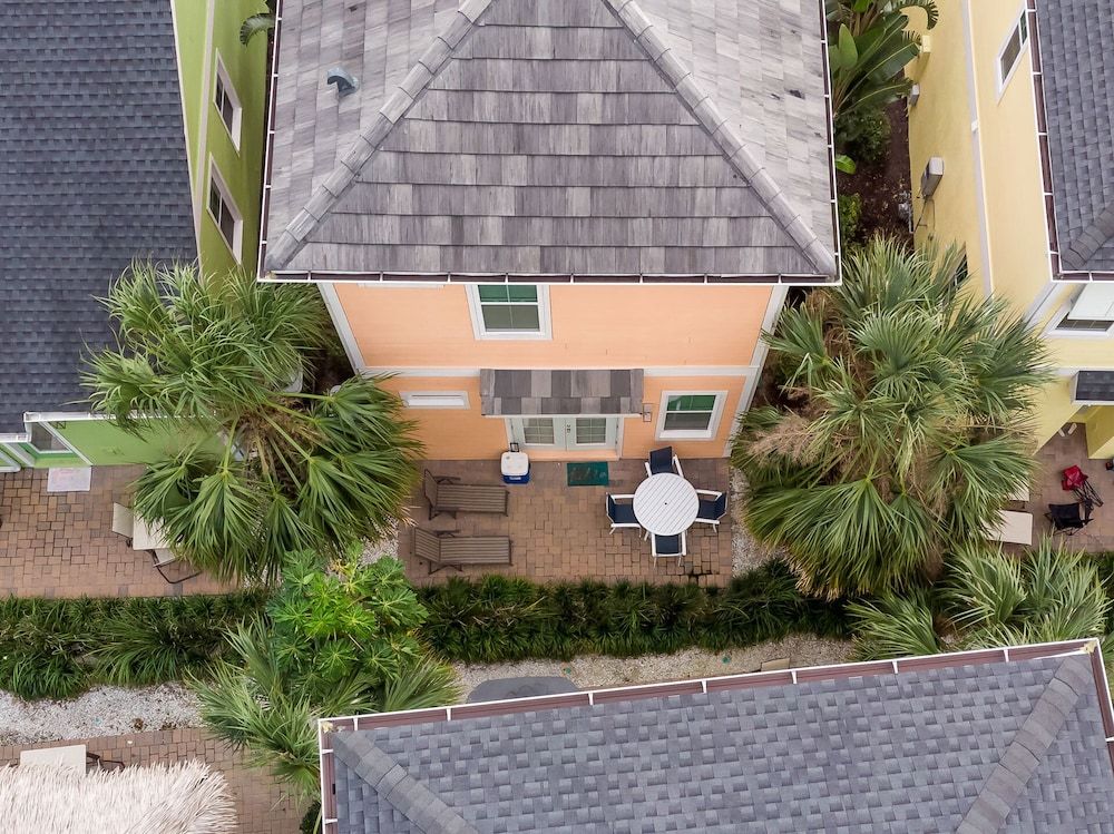 undefined Salty Parrot 2