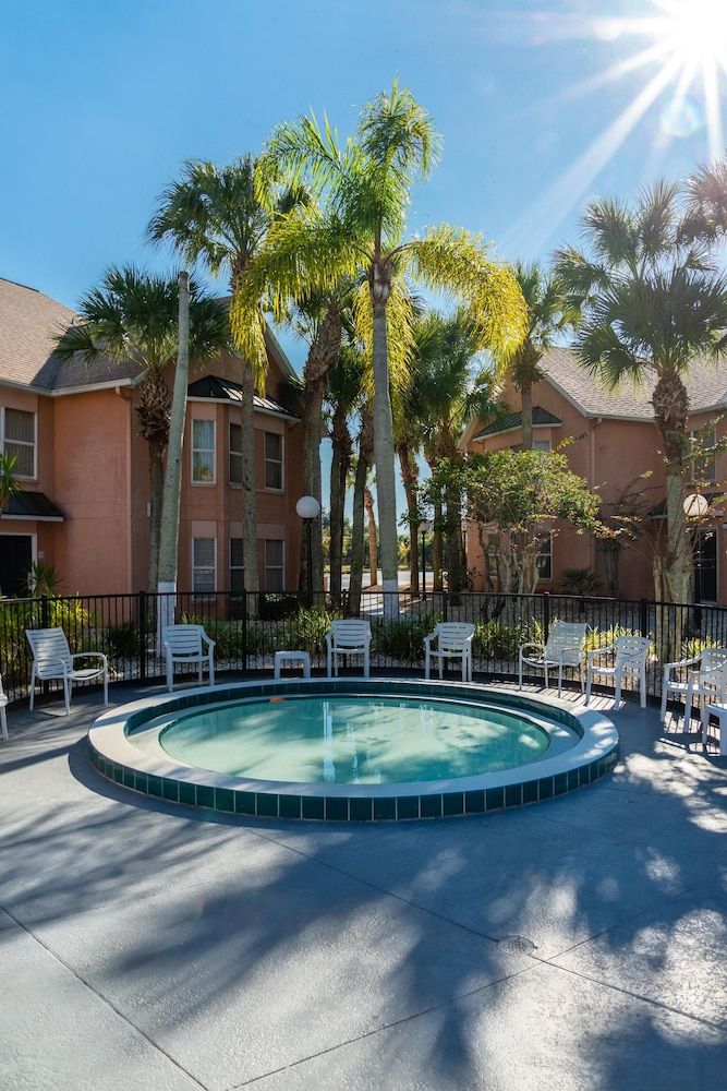 undefined Palm Studio by Orlando Short Term 6