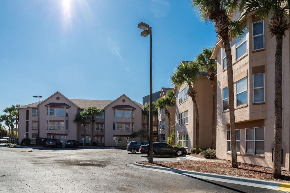 undefined Palm Studio by Orlando Short Term 3