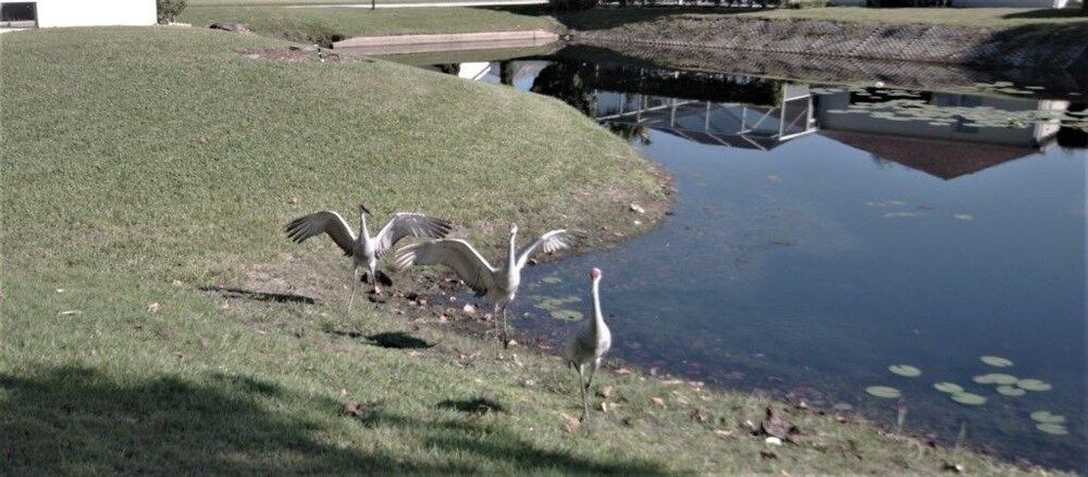 Ly217376 - Oak Island Cove - 4 Bed 3 Baths Villa Family Villa, Private Pool, Garden Area 23