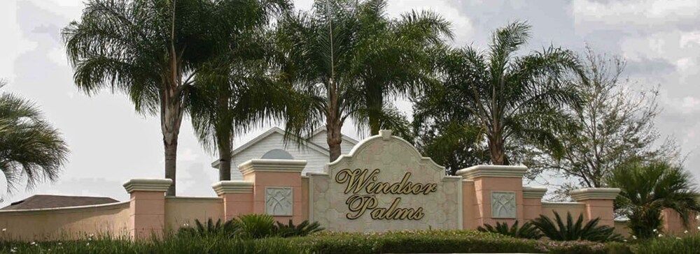 undefined Sun Palm Paradise 6