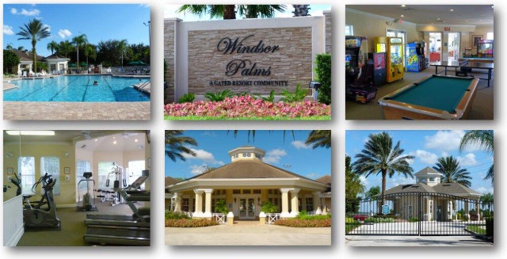 undefined Sun Palm Paradise 2