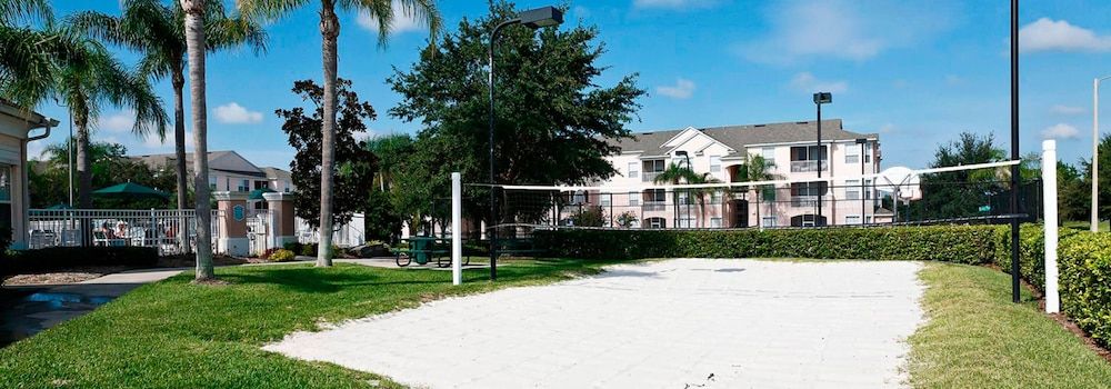 undefined Sun Palm Paradise 9