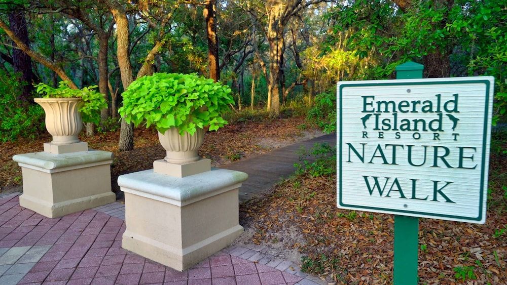 undefined Jewel of Emerald Island 10