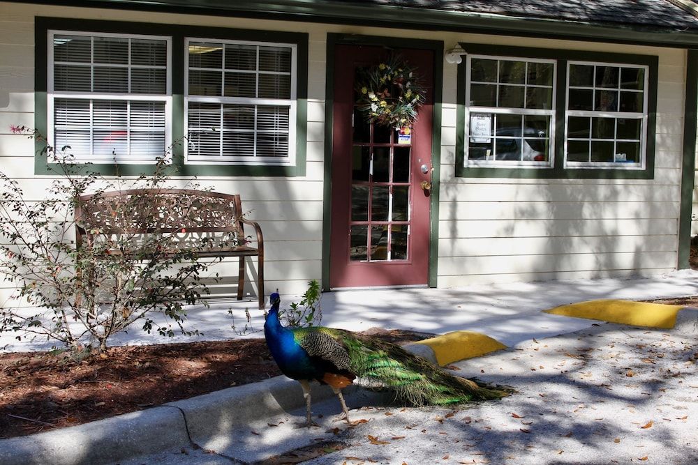 undefined Magic Holiday Villas by ME 2