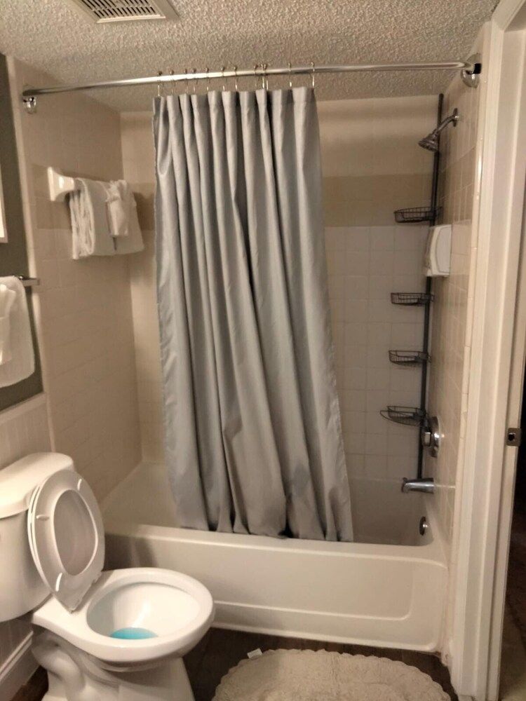 Tropical Enchanted Oaks Villa Luxury Villa, 1 King Bed, Non Smoking, Courtyard View 11