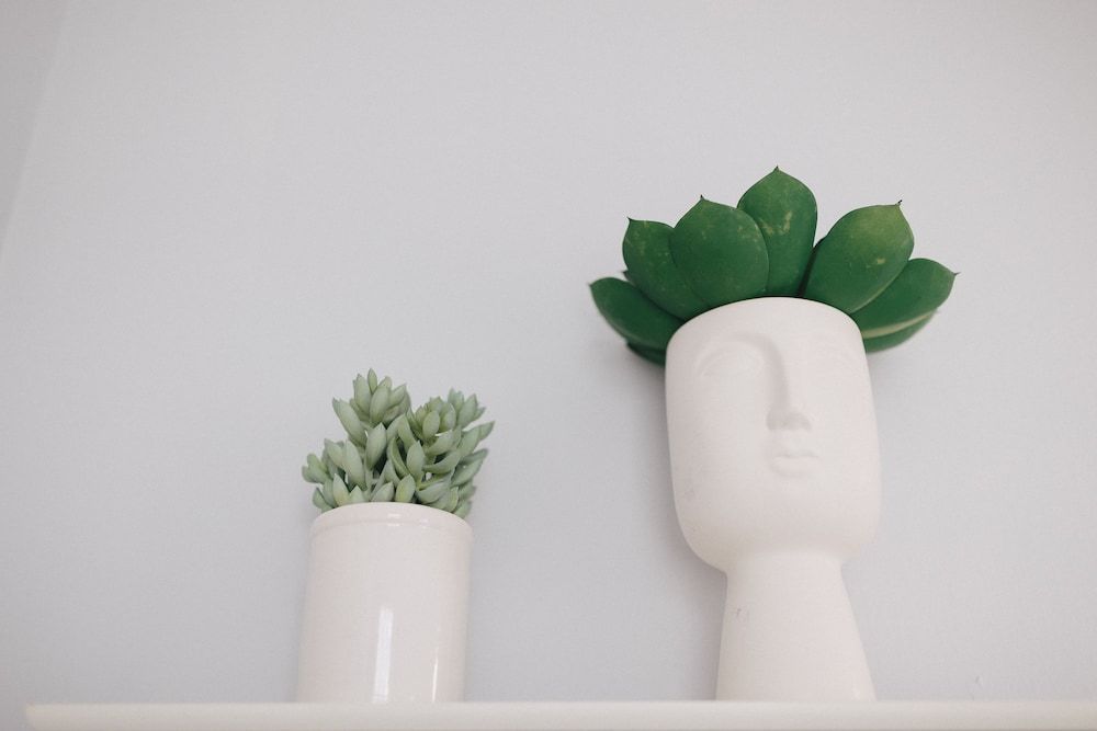 Deluxe Beach Apt Apartment, Multiple Beds 18