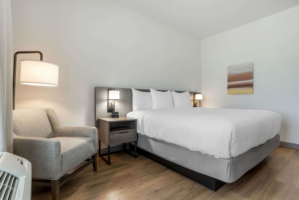 Standard Room, 1 King Bed, Non Smoking