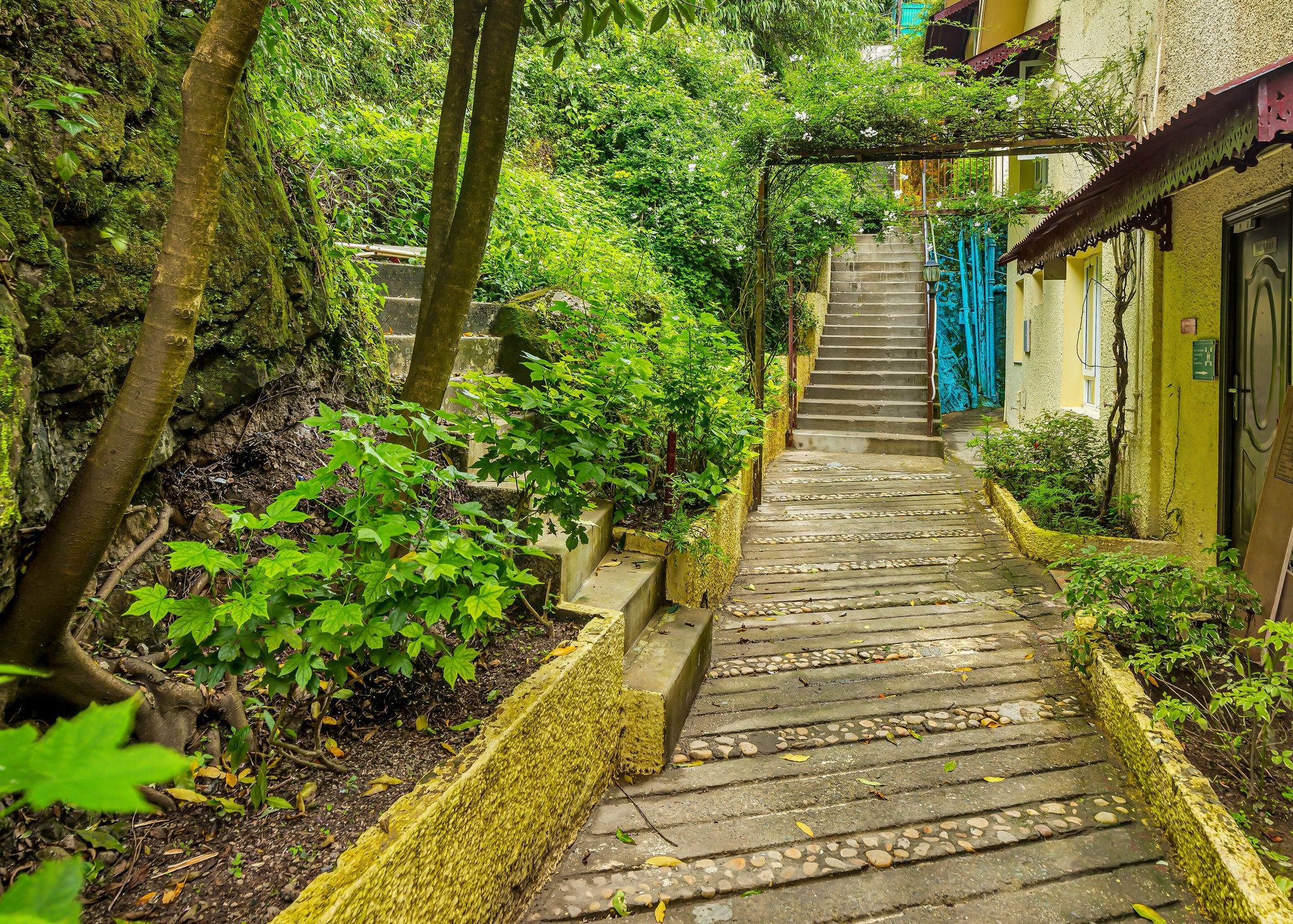 Club Mahindra Mussoorie, Uttarakhand