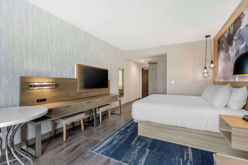 Standard Room, 1 King Bed, Non Smoking (Walk-in Shower)