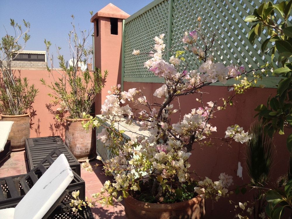 undefined Riad Mariana 5