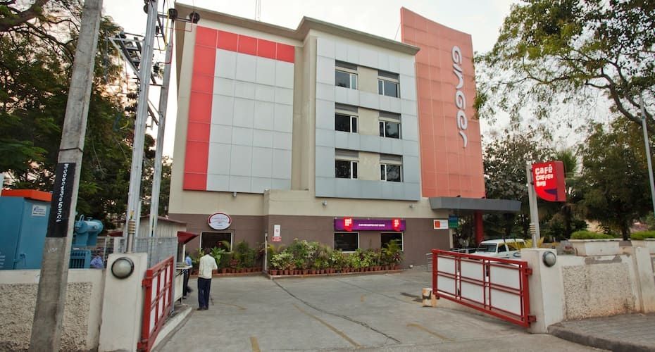 undefined Ginger Mysore 2