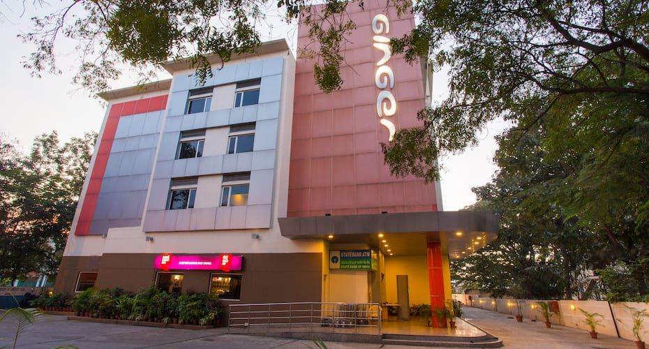 undefined Ginger Mysore 6