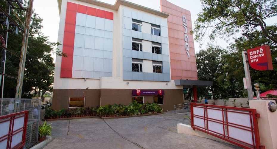 undefined Ginger Mysore 5