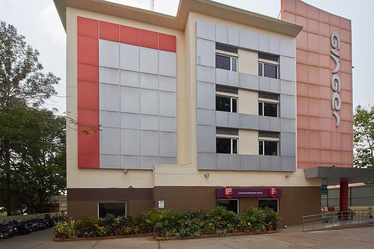 undefined Ginger Mysore 8