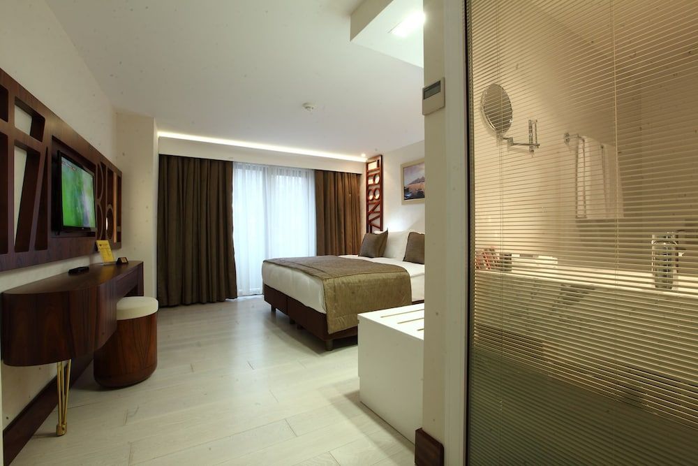 undefined Victory Hotel & Spa Istanbul 3