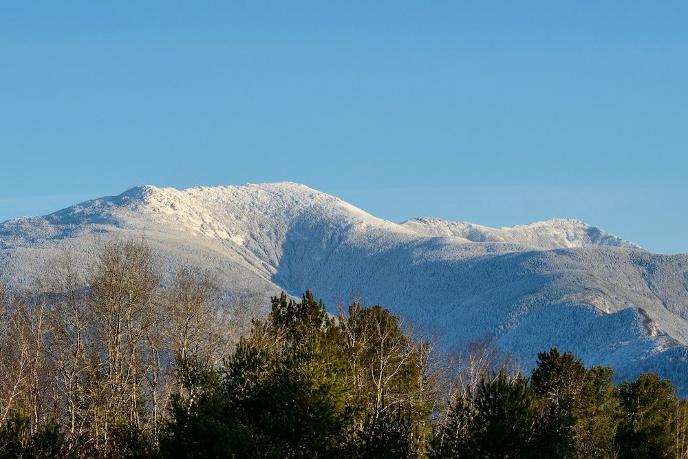 Gale River Motel Executive Room 11