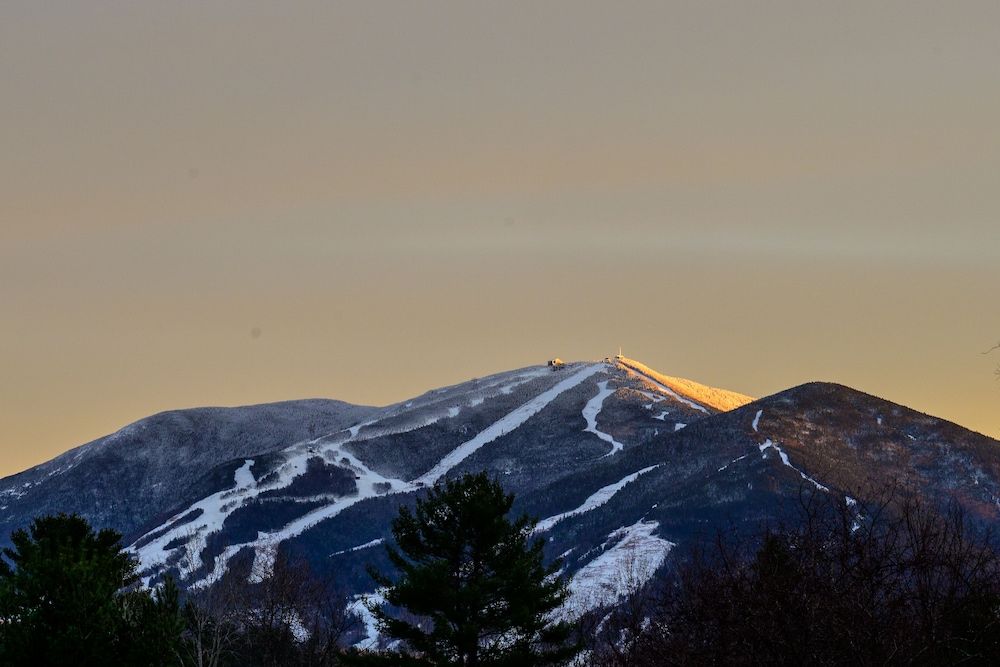 Gale River Motel Executive Room 2