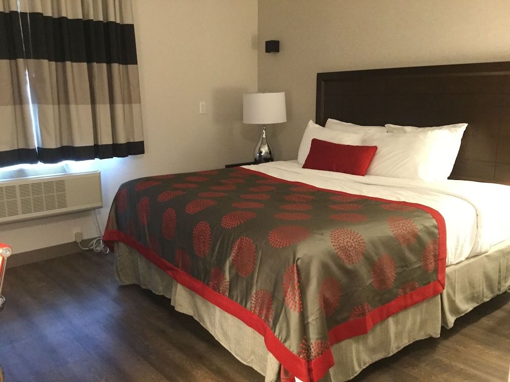 Room, 1 King Bed, Smoking