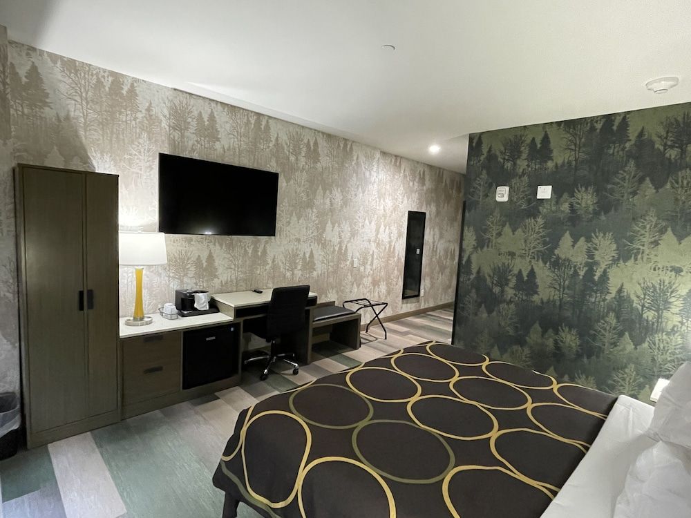 Room, 1 King Bed, Accessible, Non Smoking (Roll-In Shower)