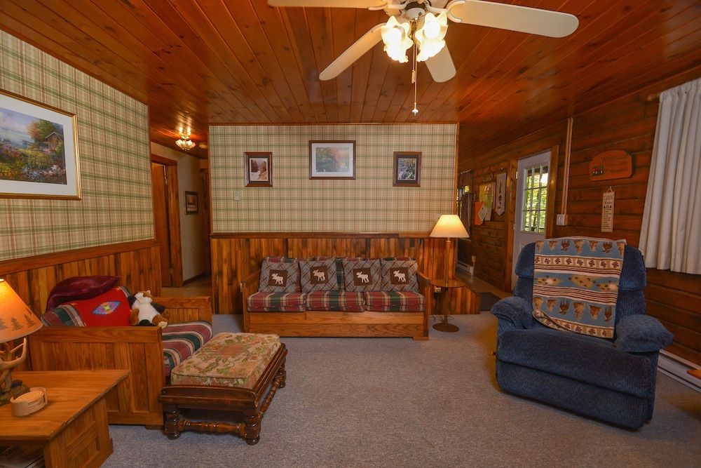 The Pines