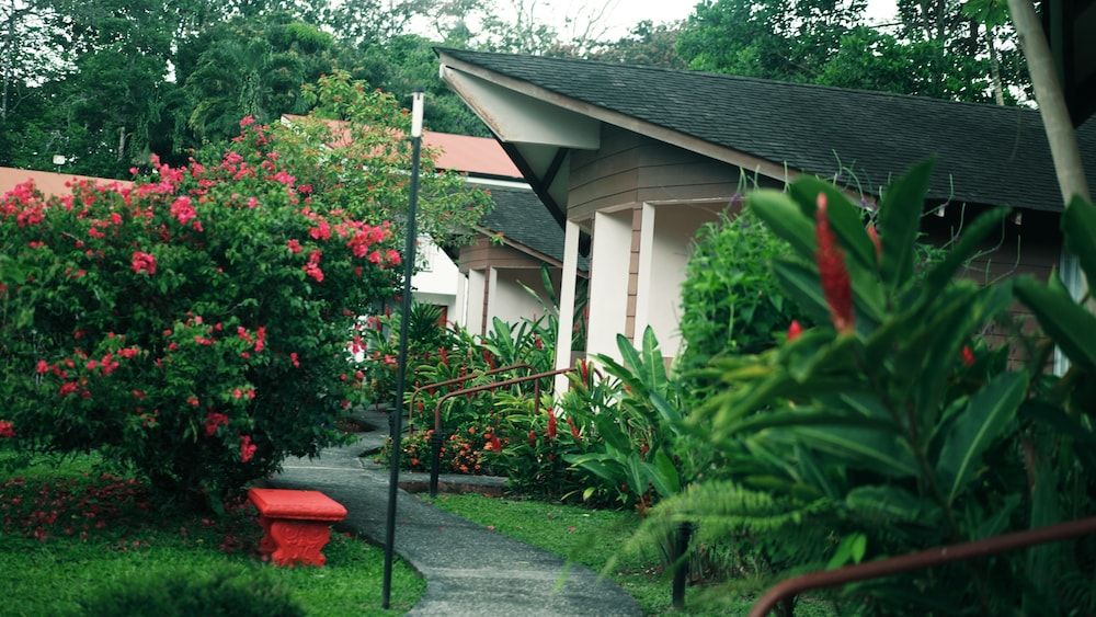 undefined Eco Arenal Hotel 5