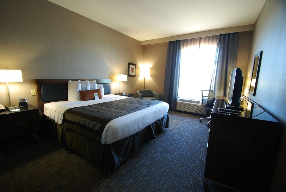 Room, 1 King Bed, Accessible, Non Smoking (Roll-In Shower)