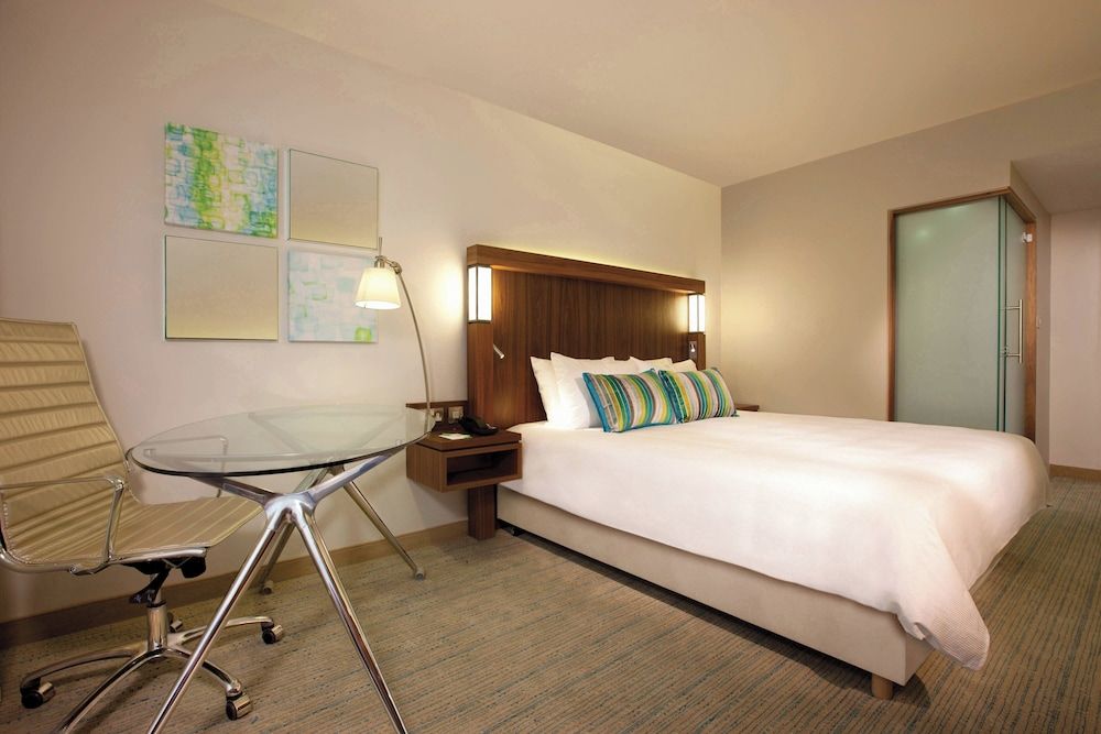 Room, 1 King Bed