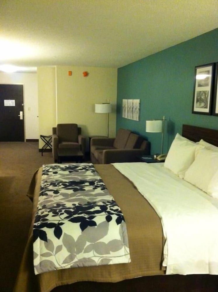 Standard Room, 1 King Bed, Non Smoking